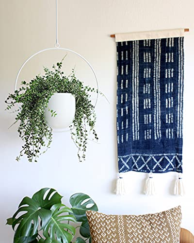 Hanging Planter Indoor Modern Boho Plant Pot Metal Wall and Ceiling Plant Holder