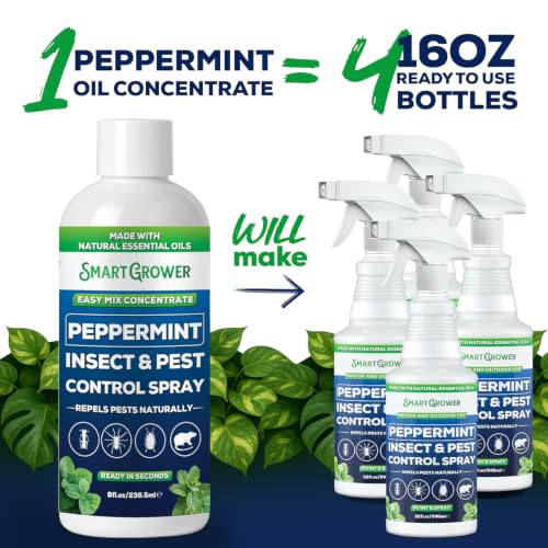 Peppermint Oil Spray for Rodents (4 Fl Oz (Pack of 1))