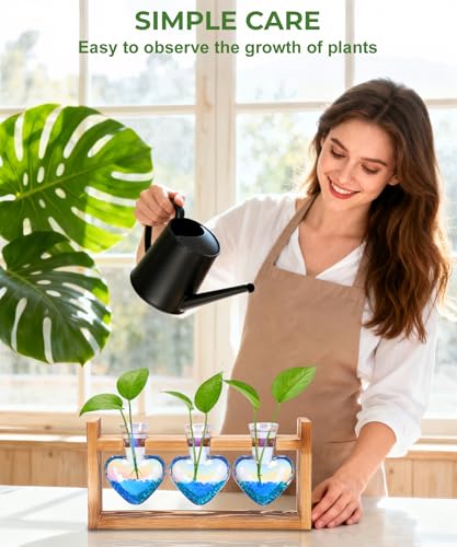 Plant Terrarium with Wooden Stand (Iridescent Clear)