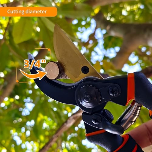 Gardening Tools (42 Count)