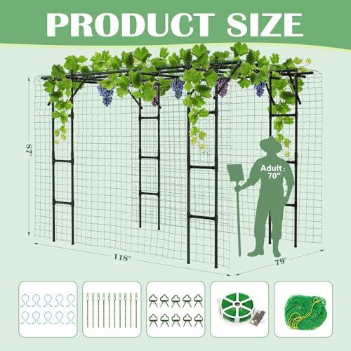 87"H x 118"L Garden Arch Trellis (87" H x 118" L x 79" W/Square)