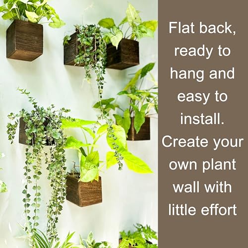 LaLaGreen Indoor Planter Box for Plants (12 Count)