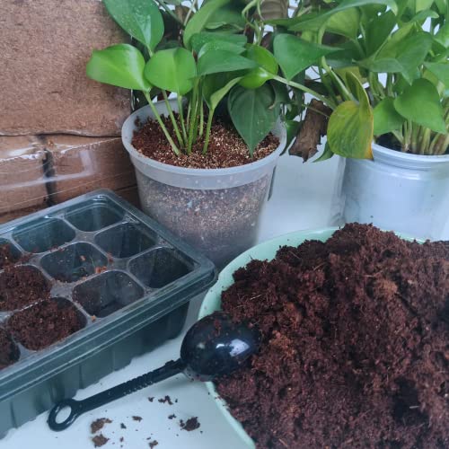 Coco Coir Brick for Plants (27Pack)