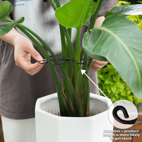 Black Metal Monstera Plant Support Hook (5 Count)