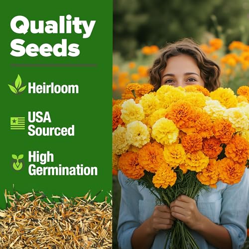 Crackerjack African Marigold Seeds