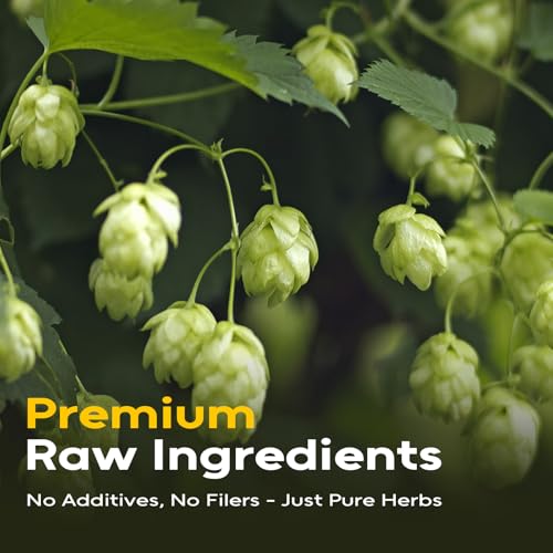 Hops Herb 4oz (4 Ounce (Pack of 1))