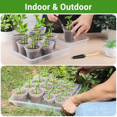 16 Inch Square Plant Saucer (16" / Clear)