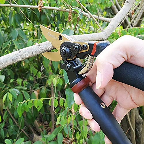 8.5" Professional Rotating Bypass Titanium Pruning Shears (Golden Rotating Titanium Bypass Pruning Shears)