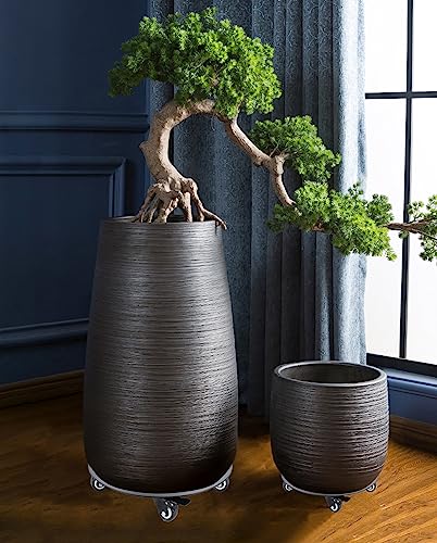 Plant Stand with Wheels
