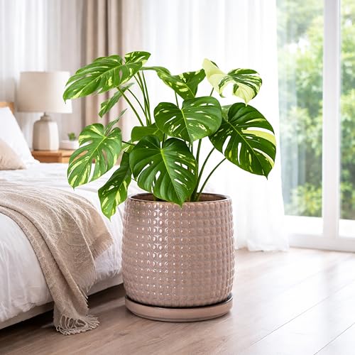 Beaded Ceramic Pot with Saucer (10.2 Inch / Light Brown)