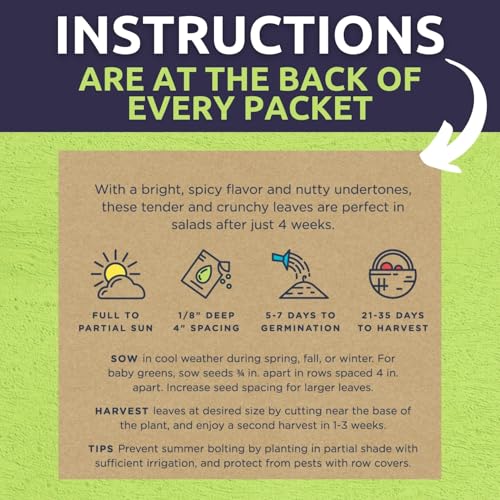 Organic Herb Seeds Variety Pack (5 Varieties - Essential Pack)