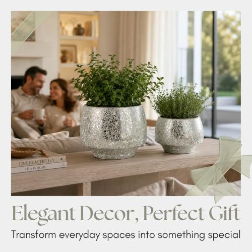 Flower Pots and Planters for Home Decor (2 Count)