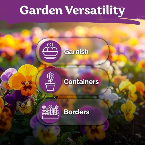 1 600 Swiss Giants Pansy Heirloom Flower Seeds