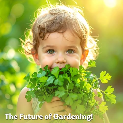1 000 Slow Bolt Cilantro Heirloom Herb Seeds