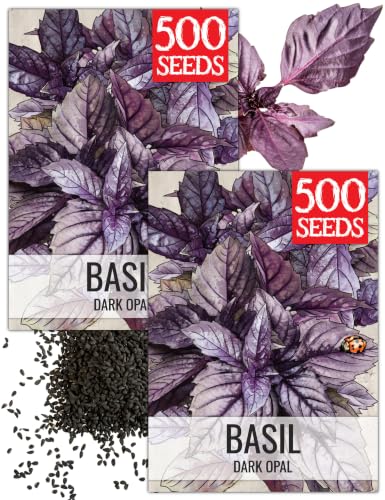 Herb Seeds to Plant Opal Basil (2 Packs)