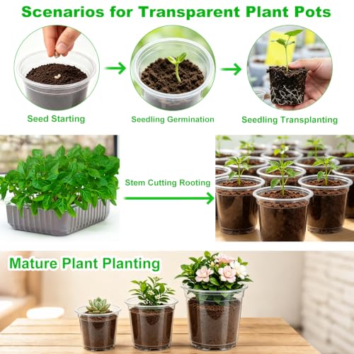 30 Pack 5 Inch Clear Nursery Pots with Drainage Holes (5Inch-30Pack)