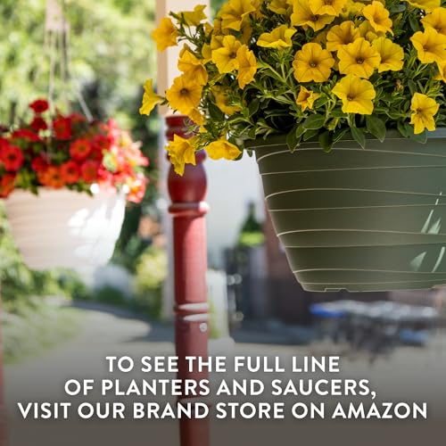 Wrapt Hanging Planters (Black / 11" / Pack of 1)