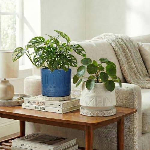 Ceramic Plant Saucer (5.6 Inch / Cream White - 2)