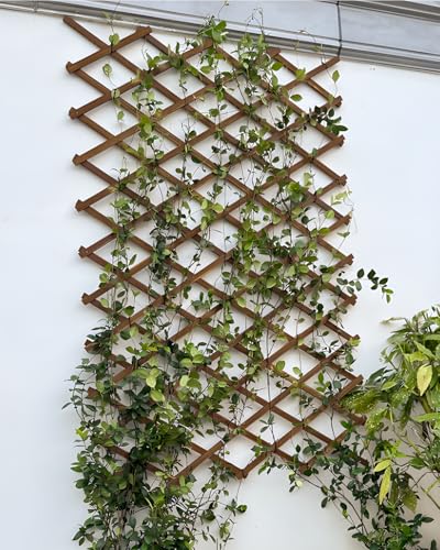 2Pack 47.2Inch Wooden Lattice Wall (2 Packs / 2 x 10 ft)
