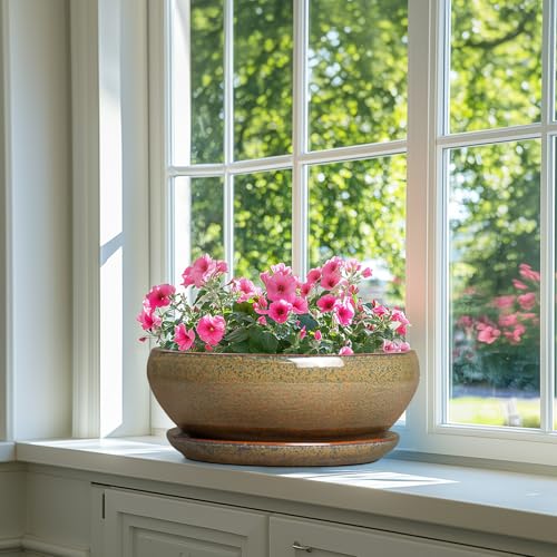 Ceramic Bonsai Pots (12 Inch / Speckled-brown)