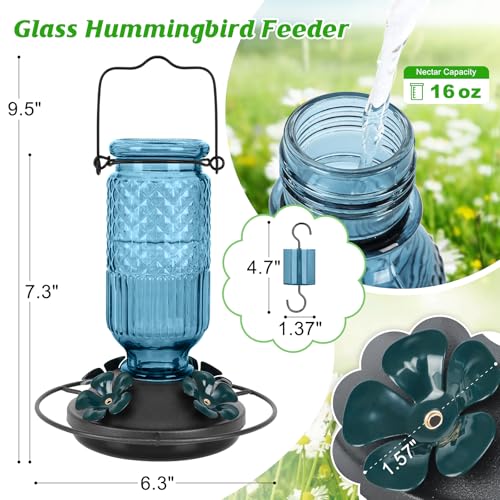 Glass Hummingbird Feeder for Outdoors Hanging (Blue)