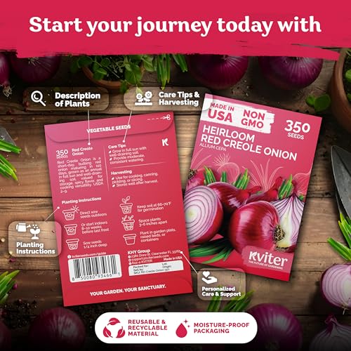 350 Red Creole Onion Heirloom Vegetable Seeds for Planting