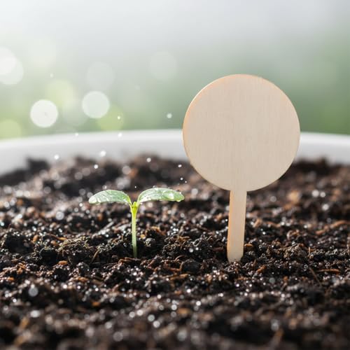 100 Pcs Wood Plant Labels (Round)