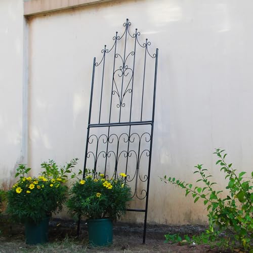 Garden Trellis for Climbing Plants 70.8" H x 25.6" W Metal Premium Quality Material Rust (70.8 inch-1 pack / Black)