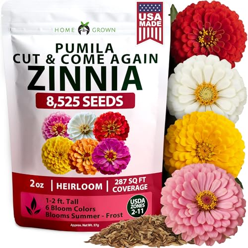 Zinnia Seeds Pumila Mix