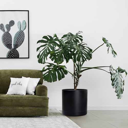 Plastic Planter Pot with Saucer (16 Inch / Matte Black)