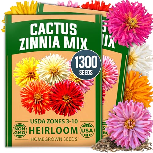 Cactus Mix Zinnia Seeds
