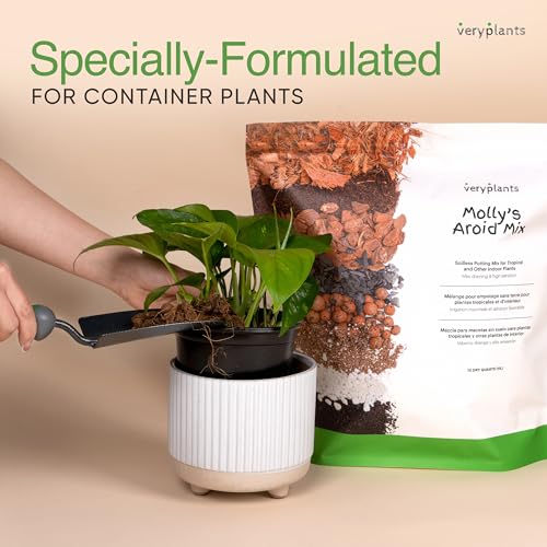 Molly's Aroid Potting Mix