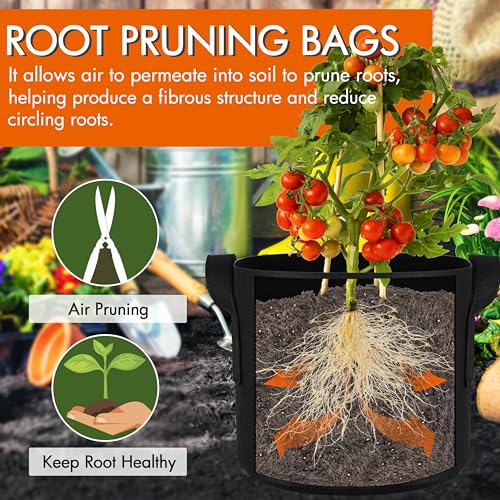 6 Pack 1 Gallon Grow Bags Fabric Pots with Heavy Duty Handles (6 Count)