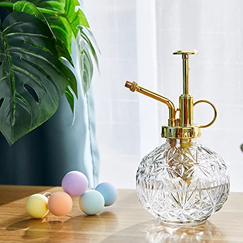 Glass Plant Mister Water Spray Bottle (Clear+Gold A)