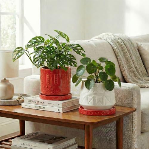 2 Pack Plant Water Catcher Tray (5.6 Inch (2 Pack) / Red)