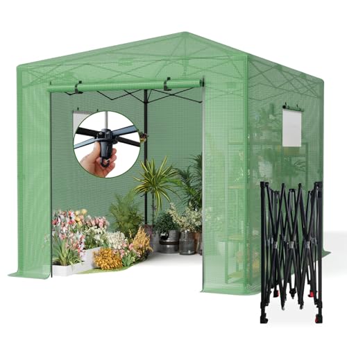 8X12 FT Pop Up Greenhouse (8X12 FT)