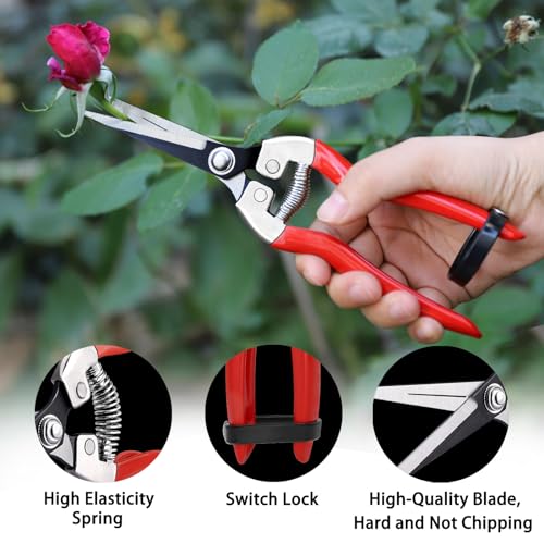 3Pack Pruning Shears (Classic)