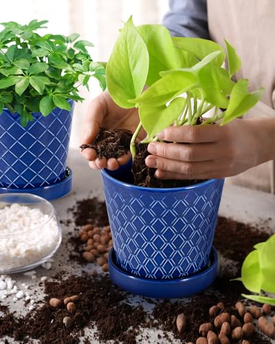 Ceramic Plant Pots