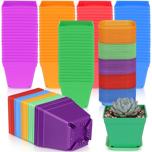 100 Pcs 4 Inch Small Plants Pot Bulk Flower Pots (Colorful)
