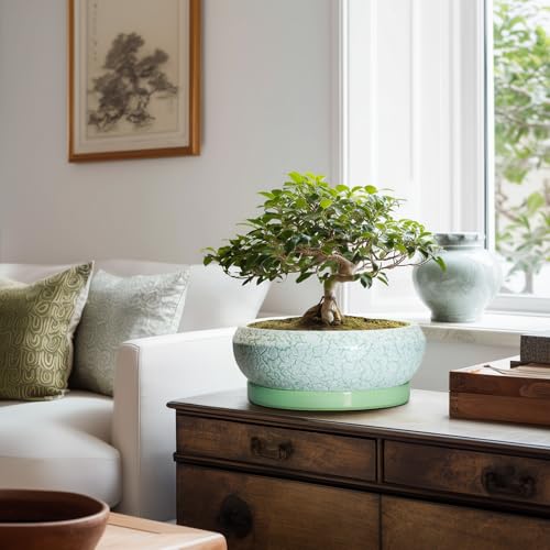 Bonsai Pots 10 Inch Ceramic Succulent Pot with Drainage Hole and Plant Saucer (10 Inch / Bright Green-white)