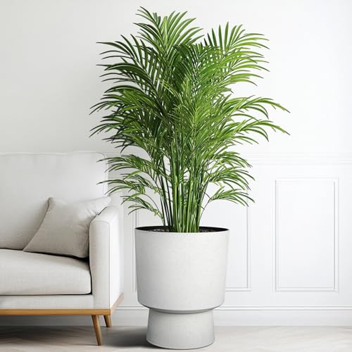 Autodaya 16.75" Urn (16.8"h-white Terrazzo)