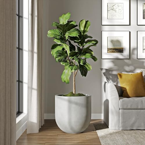 Signature Mount Antero 19.7''D x 19.7''H Modern Indoor Outdoor Fiberstone Bullet Shaped Planter (Large / Gray)