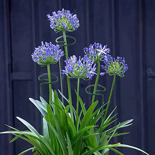 20 Pack 16 Inch Plant Support Stakes (20 Count)