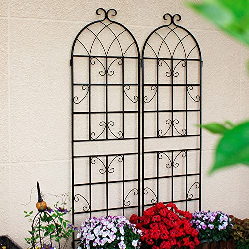 8 Pack Metal Garden Trellis for Climbing Plants (Black D-71"H)