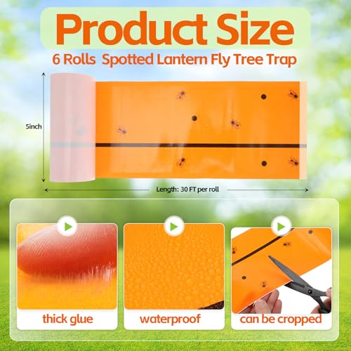 6 Rolls Spotted Lantern Fly Tree Tape Trap 30ft (Orange)