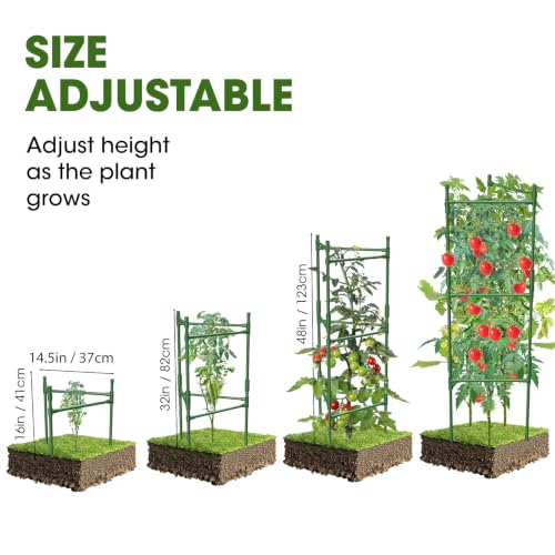 6 Pack Tomato Cage (6 pack)