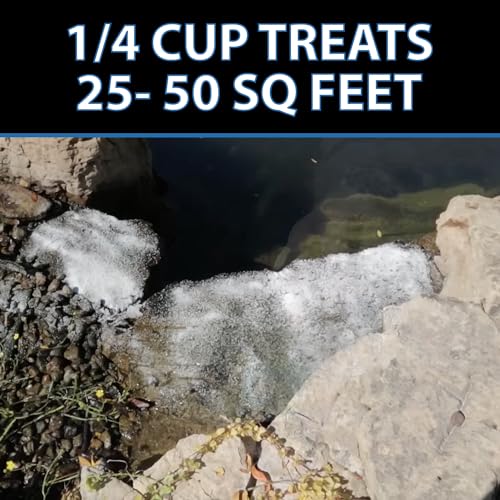 AlgaeOff String Algae Killer for Pond & Water Garden (25 Pounds)