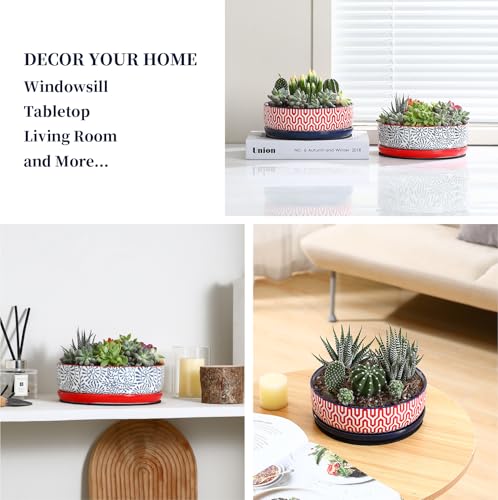 Ceramic Succulent Pots (Assorted Colors / 8 inch)