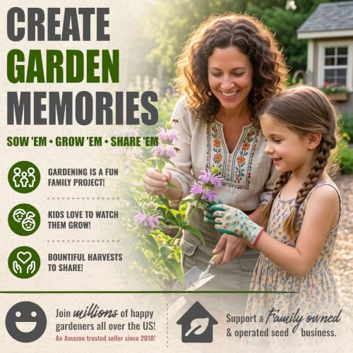 Lemon Mint Seeds to Plant Annual Heirloom Non (5 Packs)