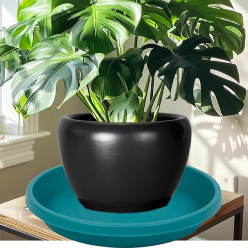 Plant Saucer for Big Pots 12 Inch Round 2 Pack Heavy Duty Drip Trays for Large Indoor Outdoor Pots (12" (2 Pack) / Forest Blue)